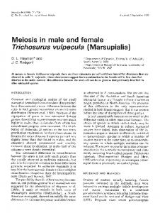 Meiosis in male and female - Nature