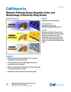 Melanin Pathway Genes Regulate Color and Morphology ... - Cell Press