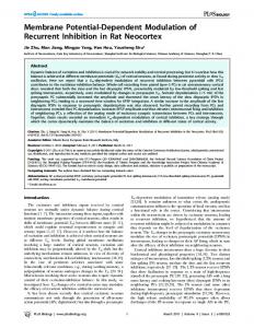 Membrane Potential-Dependent Modulation of ... - Semantic Scholar