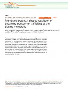 Membrane potential shapes regulation of ... - Semantic Scholar