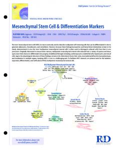 Mesenchymal Stem Cell & Differentiation Markers