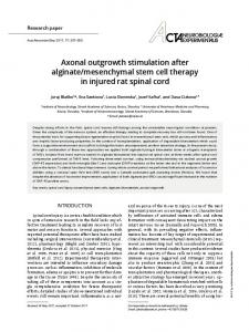 mesenchymal stem cell