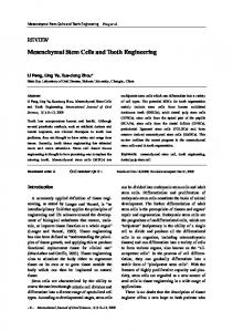 Mesenchymal Stem Cells and Tooth Engineering - BioMedSearch