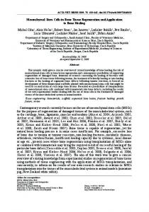 Mesenchymal Stem Cells in Bone Tissue