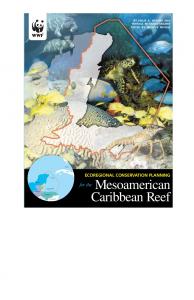 Mesoamerican Caribbean Reef