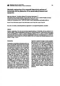 Metabolic engineering of the terpenoid biosynthetic pathway of ...