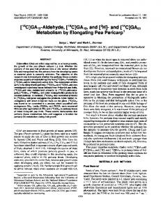 Metabolism by Elongating Pea Pericarp'