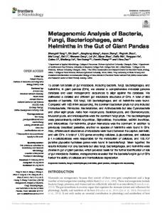 Metagenomic Analysis of Bacteria, Fungi ... - Semantic Scholar