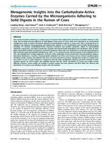 Metagenomic Insights into the Carbohydrate