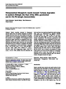 Metasomatized lithospheric mantle beneath Turkana ... - Springer Link