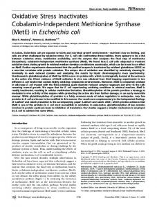 (MetE) in Escherichia coli