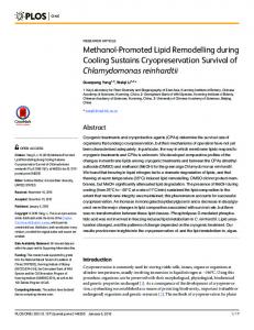 Methanol-Promoted Lipid Remodelling during Cooling ... - PLOS