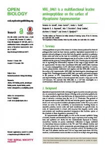 MHJ_0461 is a multifunctional leucine