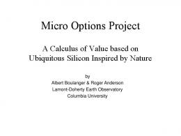 Micro Options Project