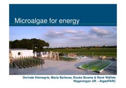 Microalgae for energy