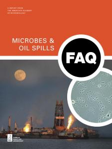 microbes & oil spills