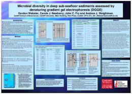 Microbial diversity in deep sub-seafloor sediments ... - CiteSeerX