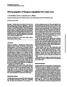 Micropropagation of Elaeagnus angustifolia from ...