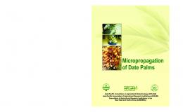 Micropropogation of Date Palms - APCoAB