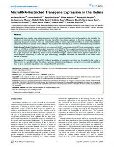 MicroRNA-Restricted Transgene Expression in the Retina - PLOS