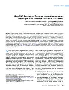 MicroRNA Transgene Overexpression ... - Semantic Scholar