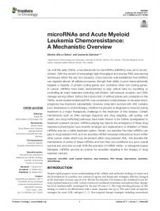 microRNAs and Acute Myeloid Leukemia