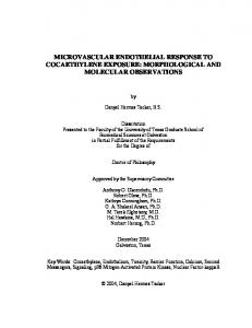 microvascular endothelial response to