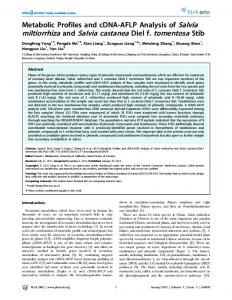 miltiorrhiza and Salvia castanea Diel f. tomentosa ... - Semantic Scholar