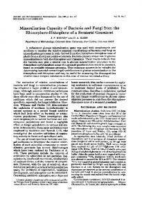 Mineralization Capacity of Bacteria and Fungi from the Rhizosphere ...