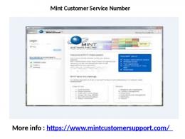 Mint Customer Support Service