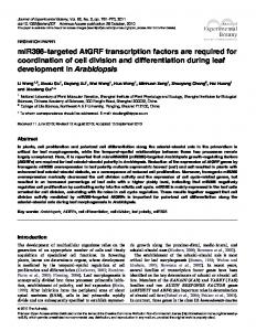 miR396-targeted AtGRF transcription factors are ... - ScienceOpen