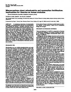 Misconceptions about mitochondria and