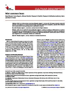 Mist common bean - Canadian Science Publishing