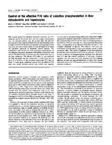 mitochondria and hepatocytes - NCBI