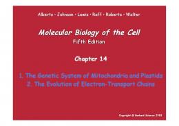 mitochondria Chapter 14b