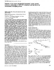 mitochondria uncoupling protein - NCBI