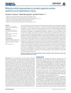 Mitochondrial approaches to protect against