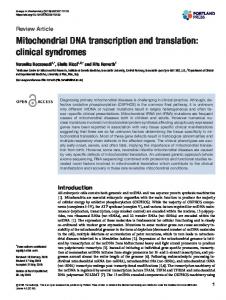 Mitochondrial DNA transcription and translation: clinical syndromes