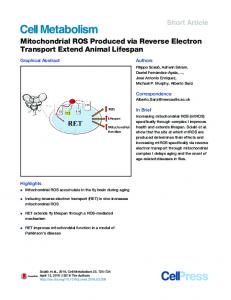 Mitochondrial ROS Produced via Reverse Electron ... - Cell Press