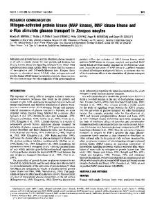 Mitogen-activated protein kinase (MAP kinase), MAP ... - Europe PMC