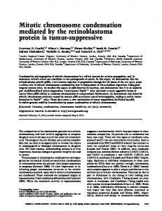 Mitotic chromosome condensation mediated by the retinoblastoma ...