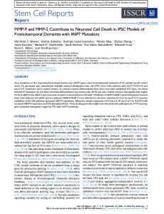 MMP-9 and MMP-2 Contribute to Neuronal Cell Death in ... - Cell Press