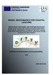 MODEL BENCHMARKS FOR COASTAL LAGOONS