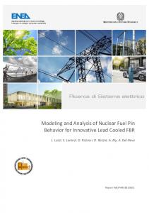 Modeling and Analysis of Nuclear Fuel Pin Behavior for ... - Enea