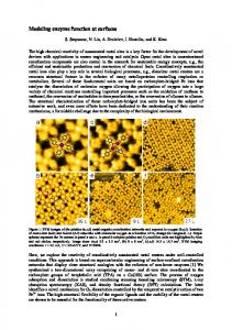 Modeling enzyme function at surfaces