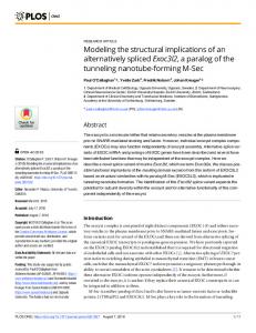 Modeling the structural implications of an alternatively spliced ... - PLOS