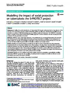 Modelling the impact of social protection on ... - BMC Public Health