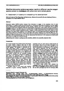 Modified alternative oxidase expression results in ... - Springer Link