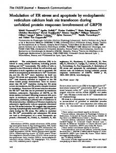 Modulation of ER stress and apoptosis by ... - The FASEB Journal