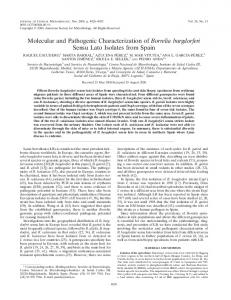Molecular and Pathogenic Characterization of Borrelia burgdorferi ...